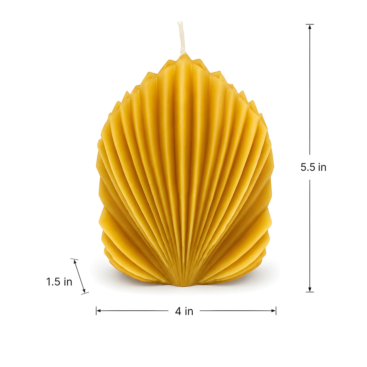 Architectural Seashell Design Beeswax Candle