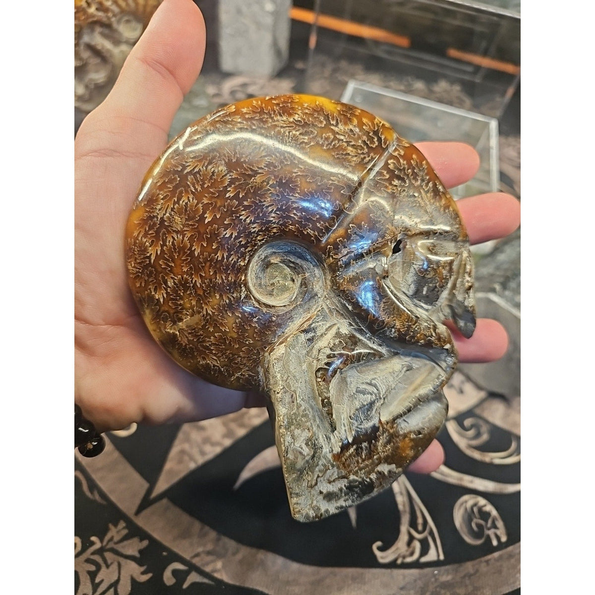 Natural Tentacle Ammonite Fossil – 1.26 lb Madagascar