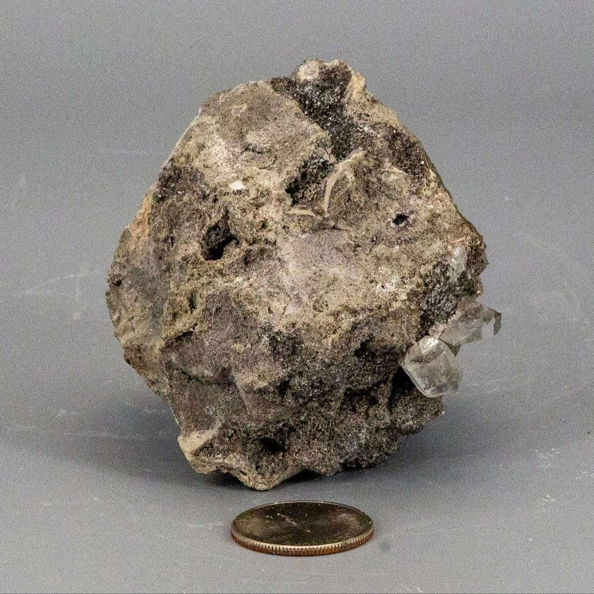 Herkimer Diamond Crystal in Matrix Host Rock Specimen