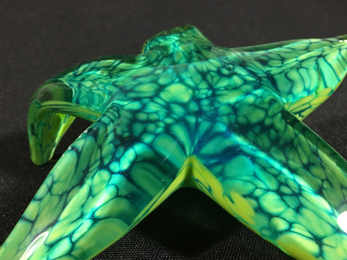 Tropical Paradise Starfish
