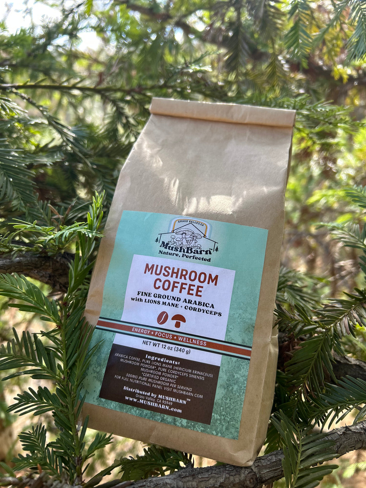 Mushroom Coffee 12oz - Lions Mane + Cordyceps