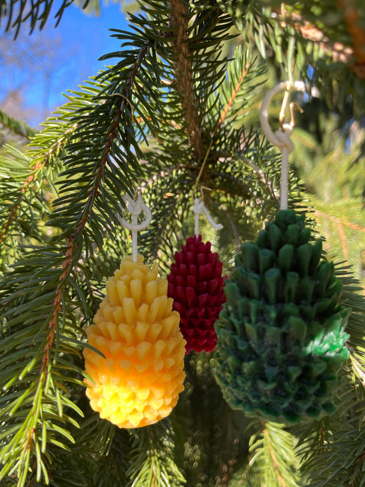 Pine Cone Holiday Candle