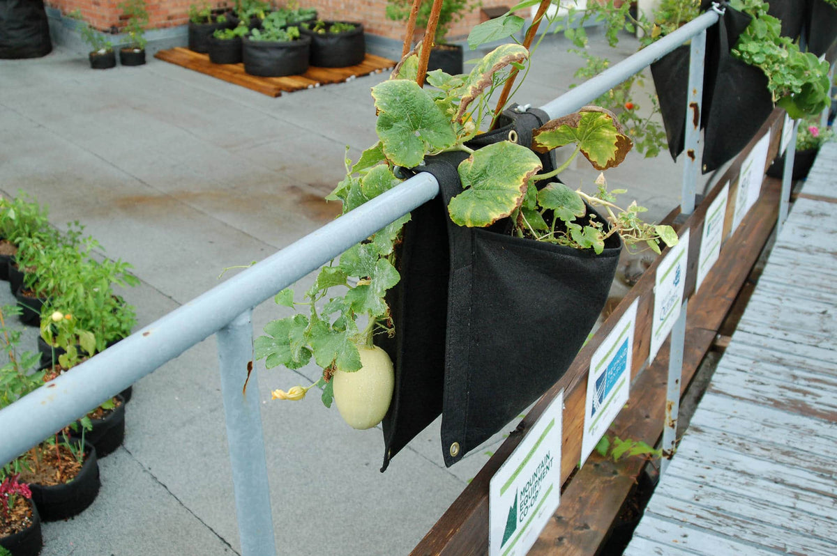Smart Pot Wall Flower Saddle Planter