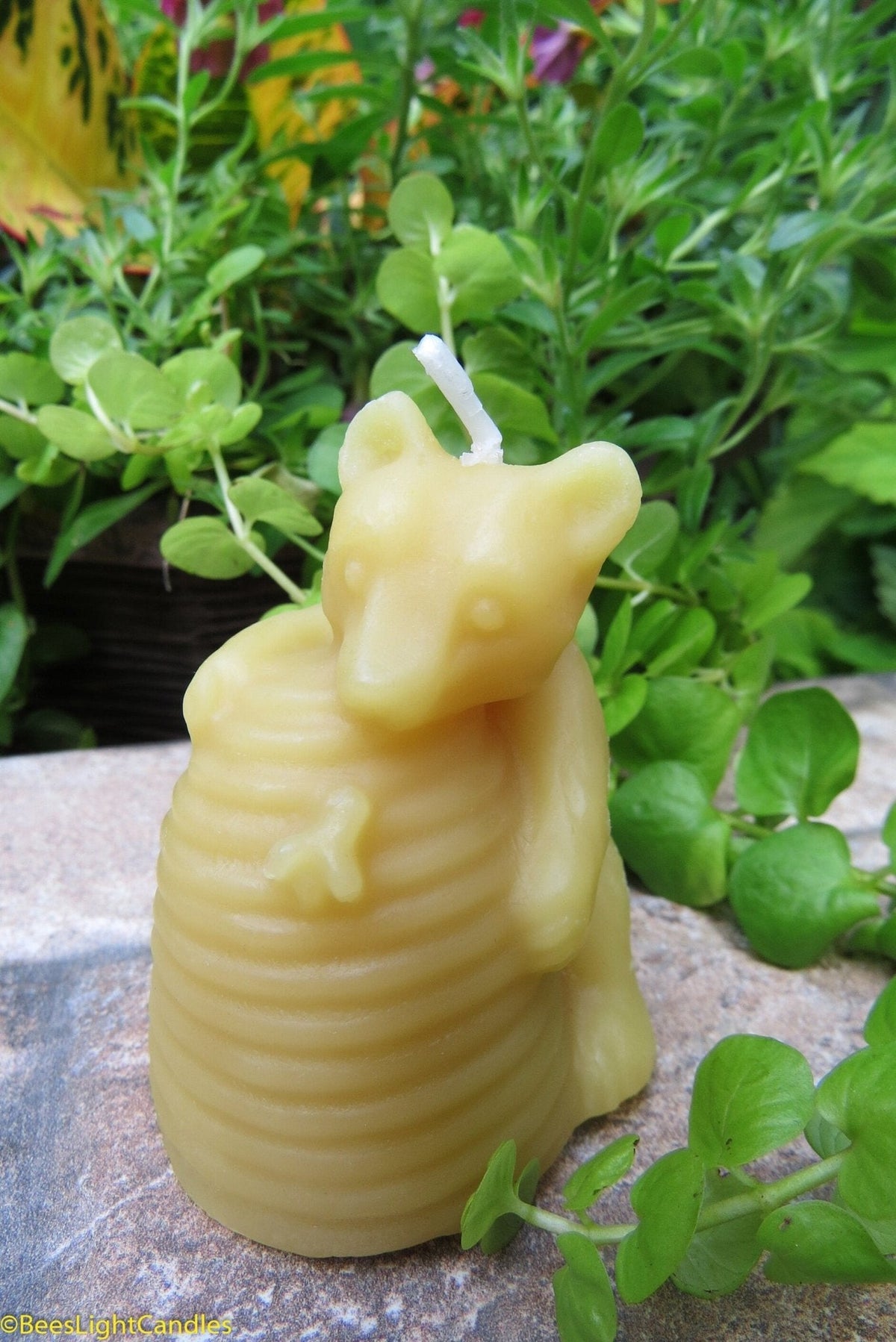 Honey Haven Bear Beeswax Candle