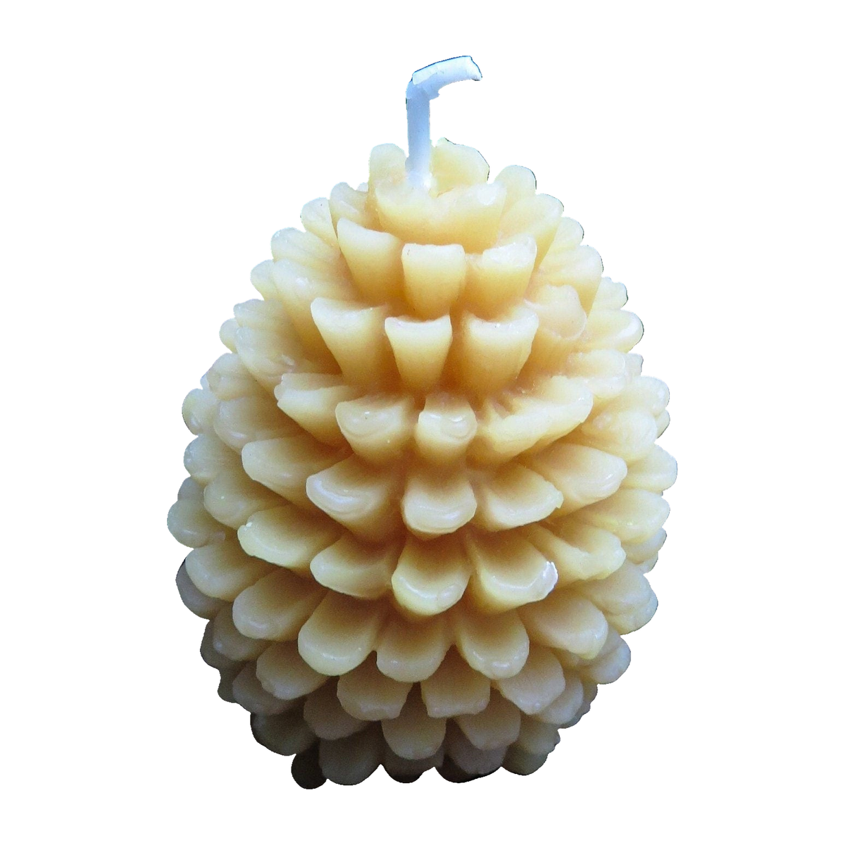 Pinecone Beeswax Candles Bulk
