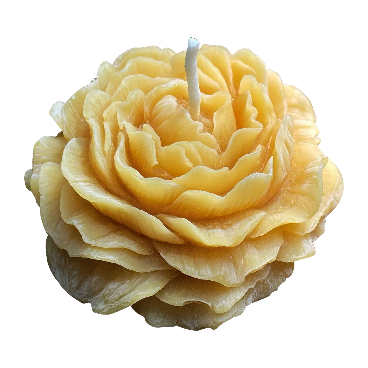 Peony Flower Beeswax Candle