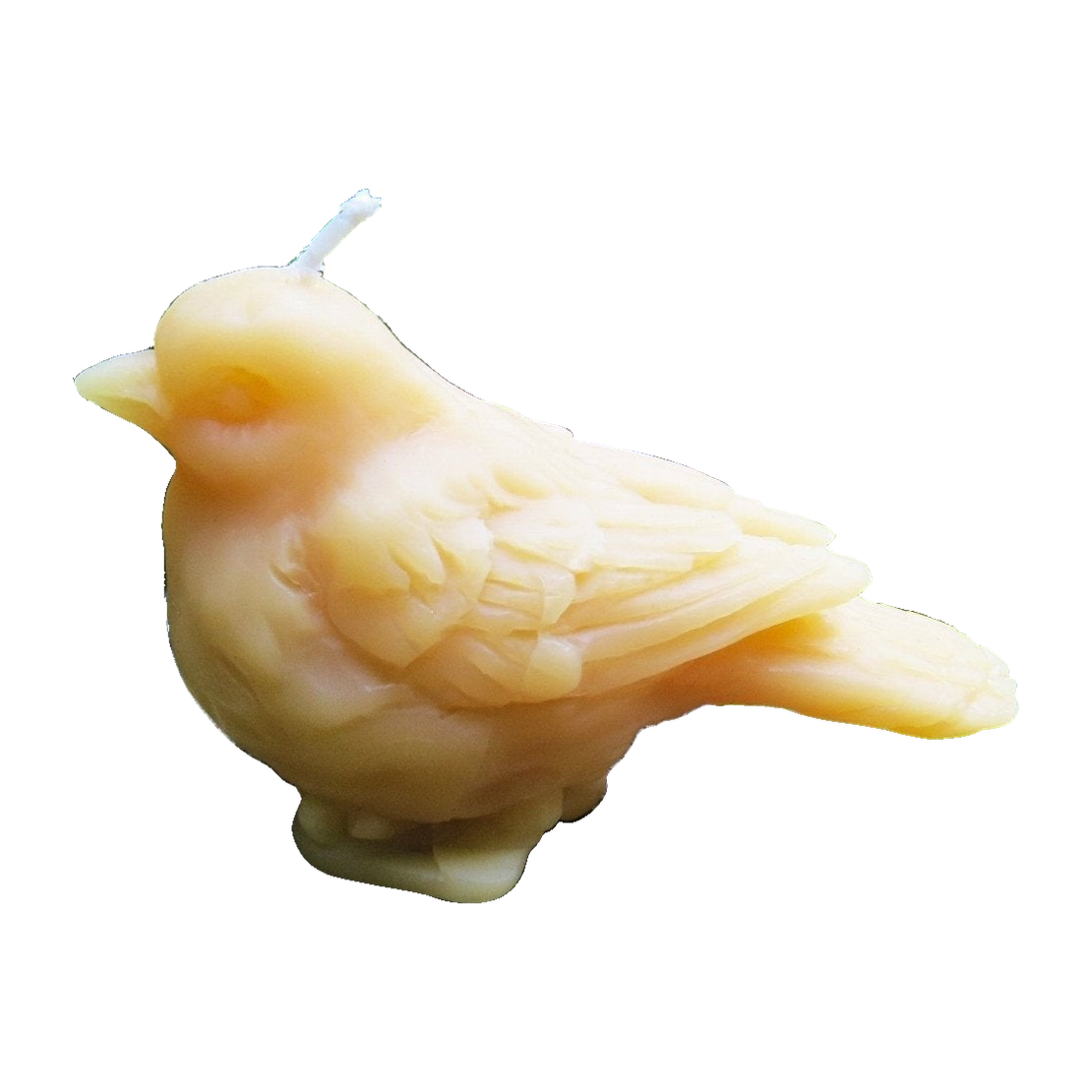 Little Bird Beeswax Candle