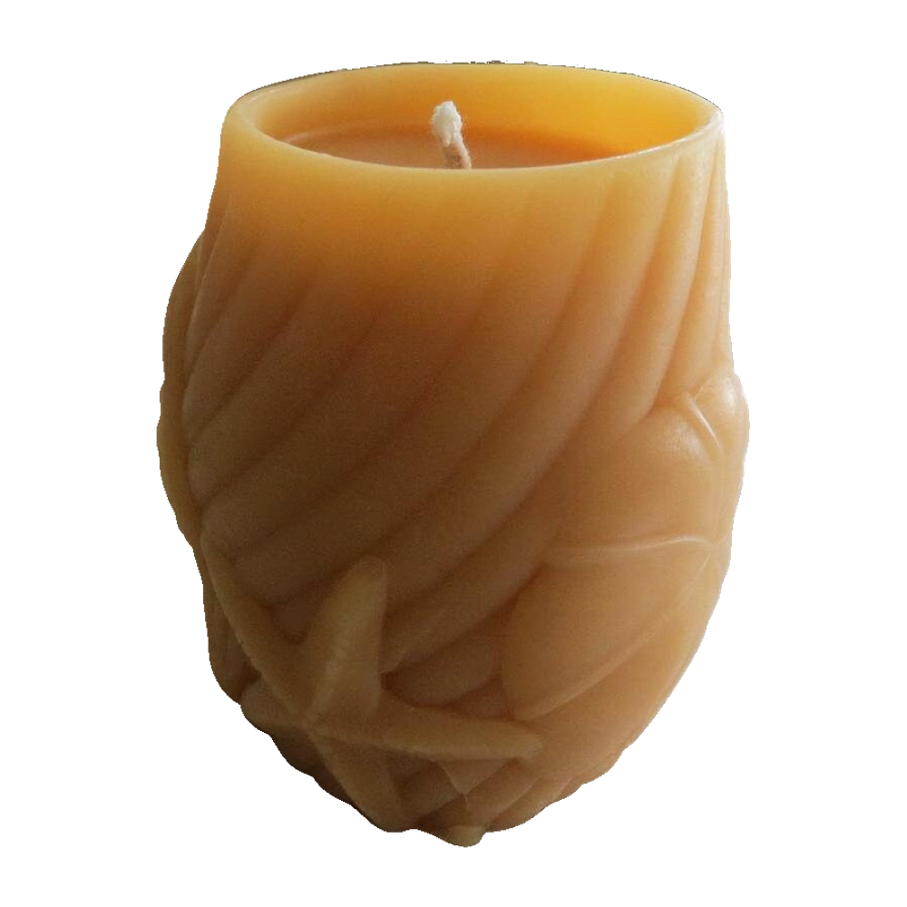 Seashell Beeswax Candle Set