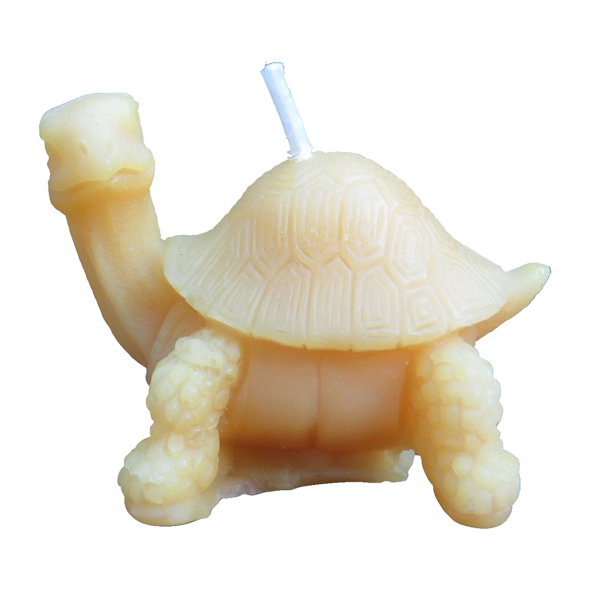 Little Turtle Beeswax Candle
