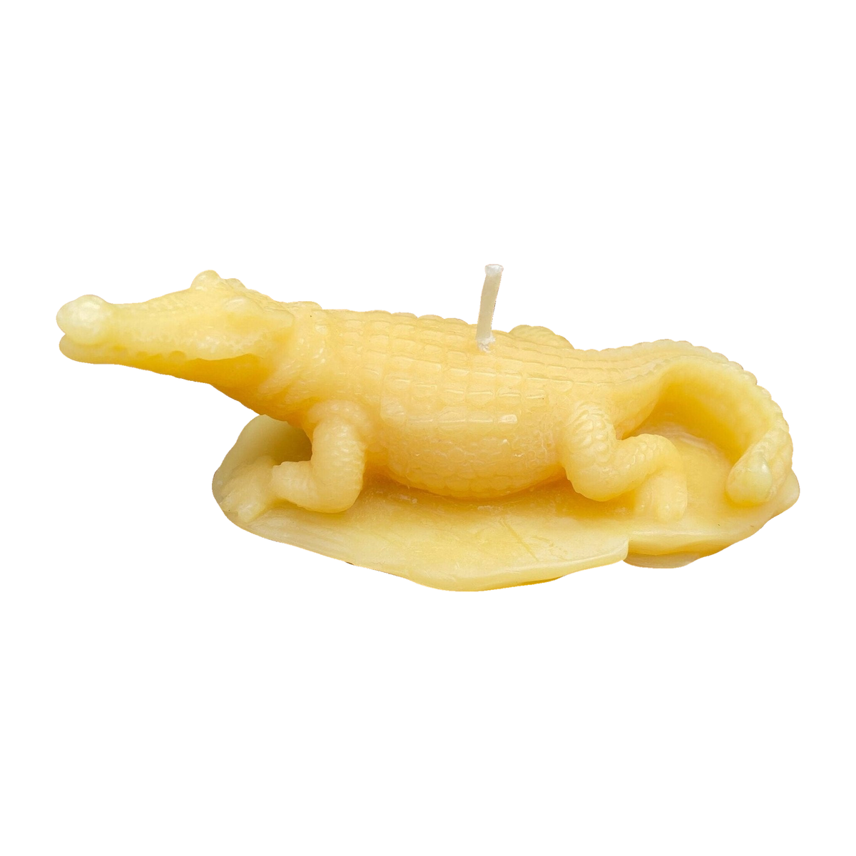 Crocodile Beeswax Candle