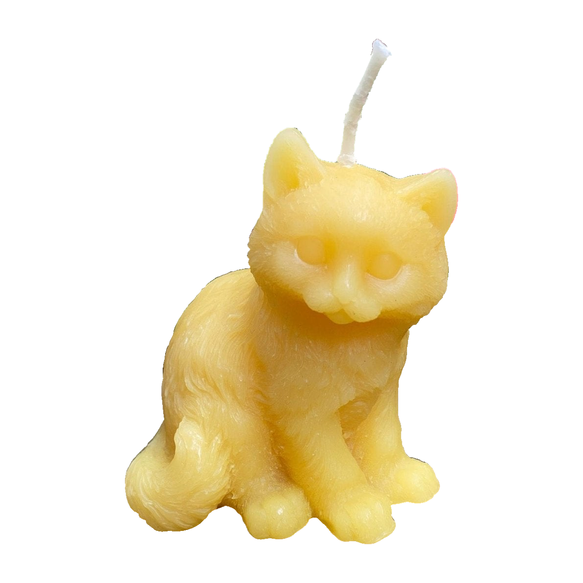 Kitten Beeswax Candle
