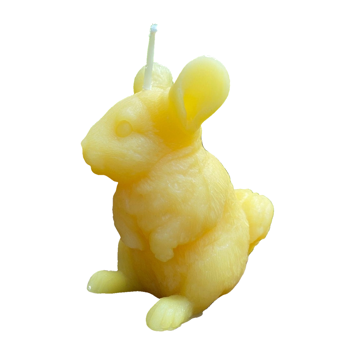 Chinchilla Beeswax Candle