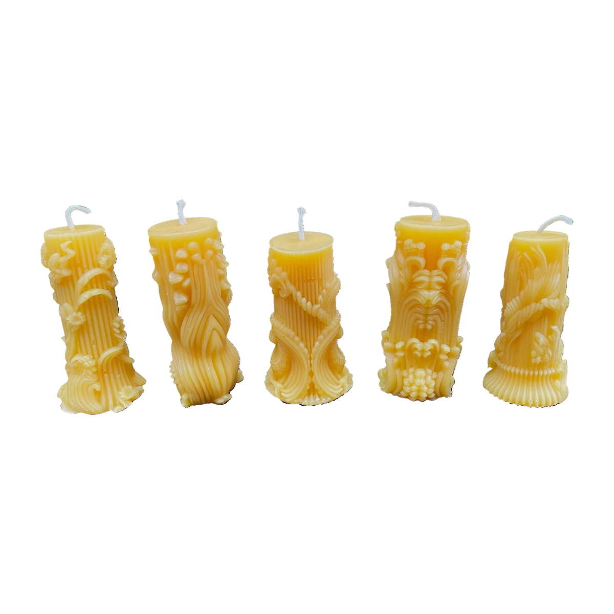 Modern Botanical Beeswax Candle Set of 5