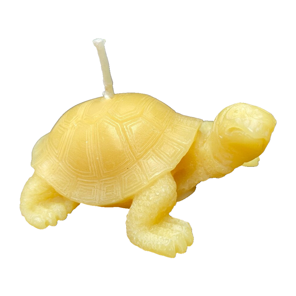 Tortoise Beeswax Candle