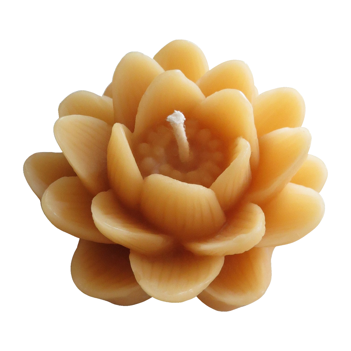 Delicate Lotus Flower Beeswax Candle