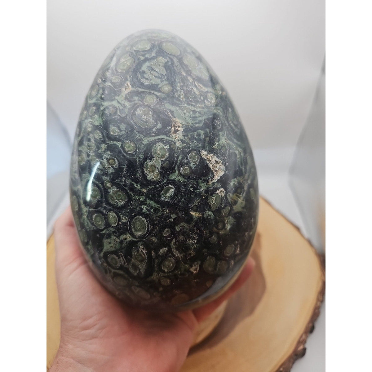 9.1LB Natural Kambaba Jasper Quartz Crystal egg Mineral specimen Healing