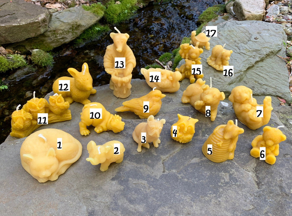 Animal Candles | Cute Creature Collection of Beeswax Candles