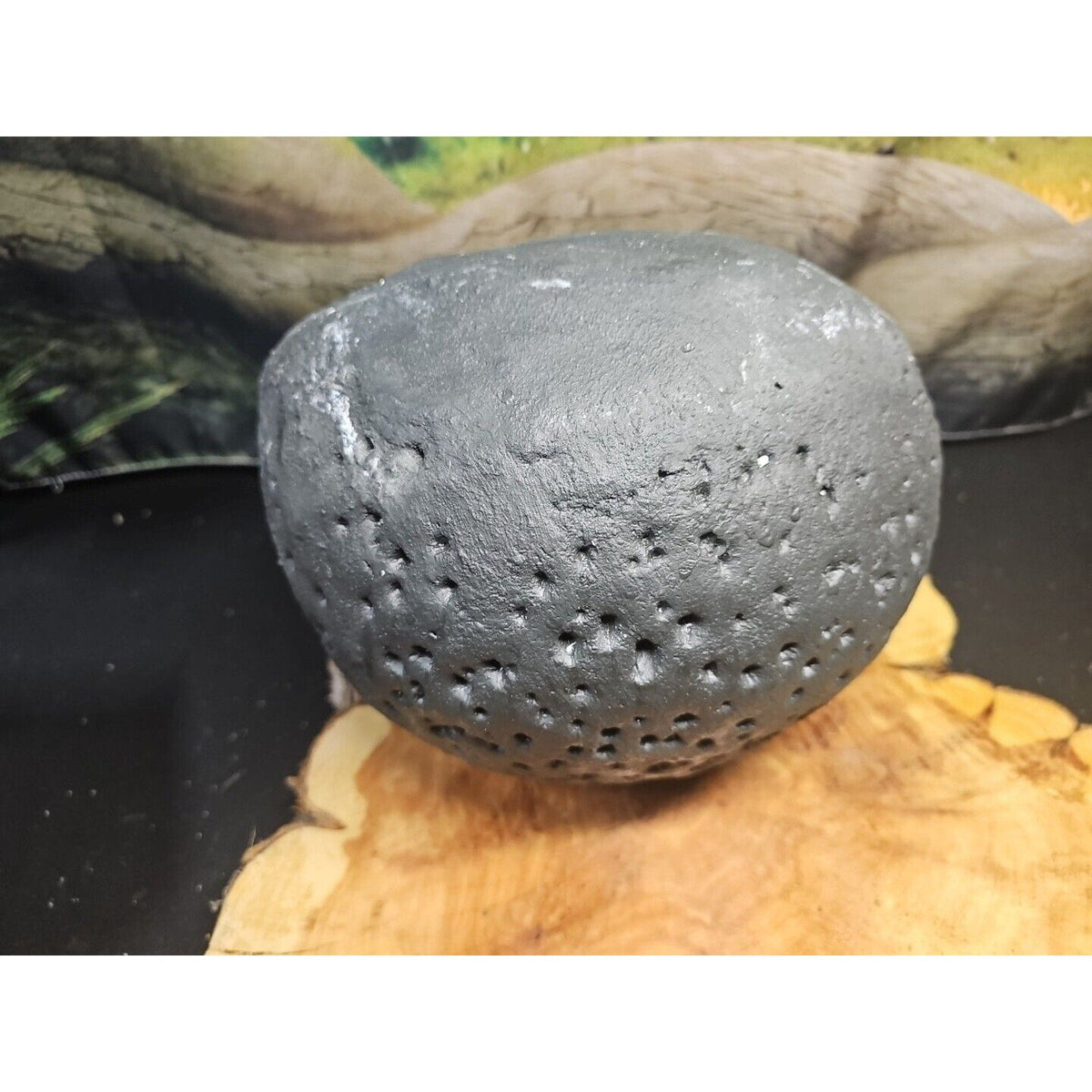 Raw Amethyst Money Bag Geode — 16.8 lbs, Abundance & Reiki Energy Crystal