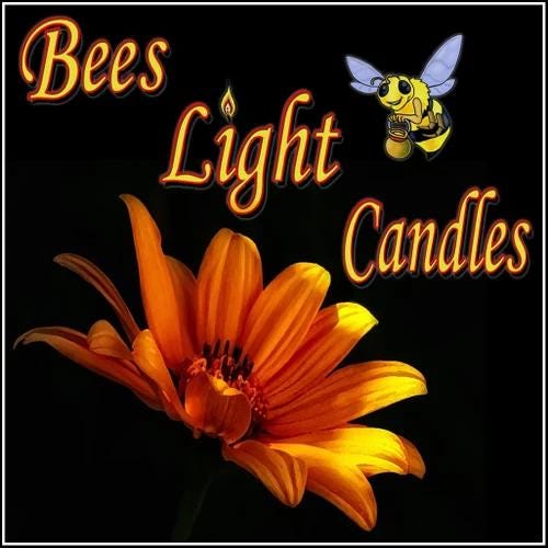 100 Pack of Clear Tealight Candle Boxes - Holds 6 Candles Per Box