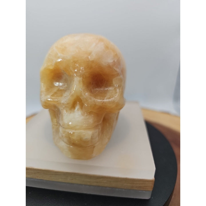 0.89 lb Jasper Jade Agate Crystal Skull – Madagascar