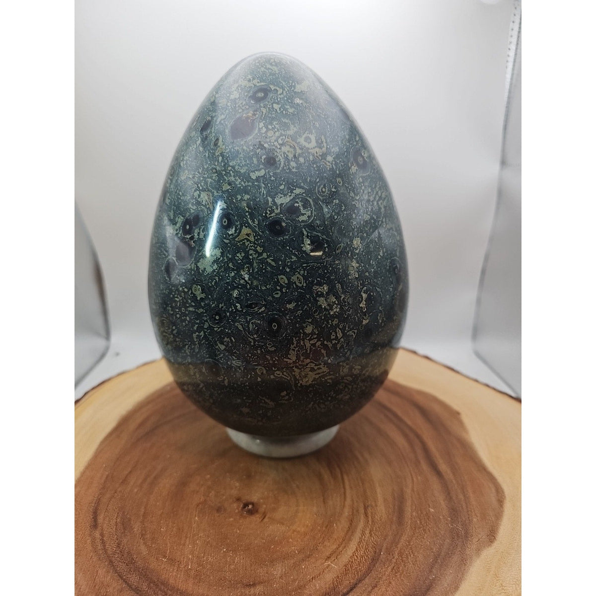 Kambaba Jasper Specimen with Jade Stand – 15.2 lb
