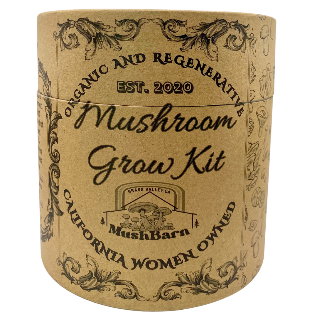 Mushroom Grow kit - Lion's Mane