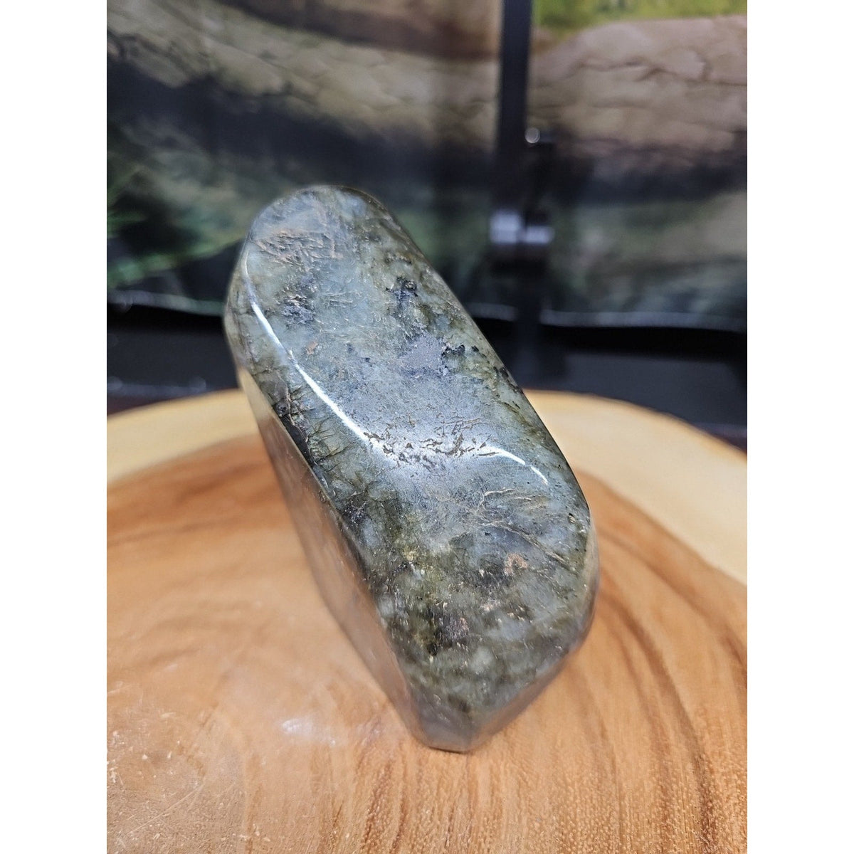 Rainbow Labradorite Spectrolite — 1.45lb, Color Flash Stone, Madagascar
