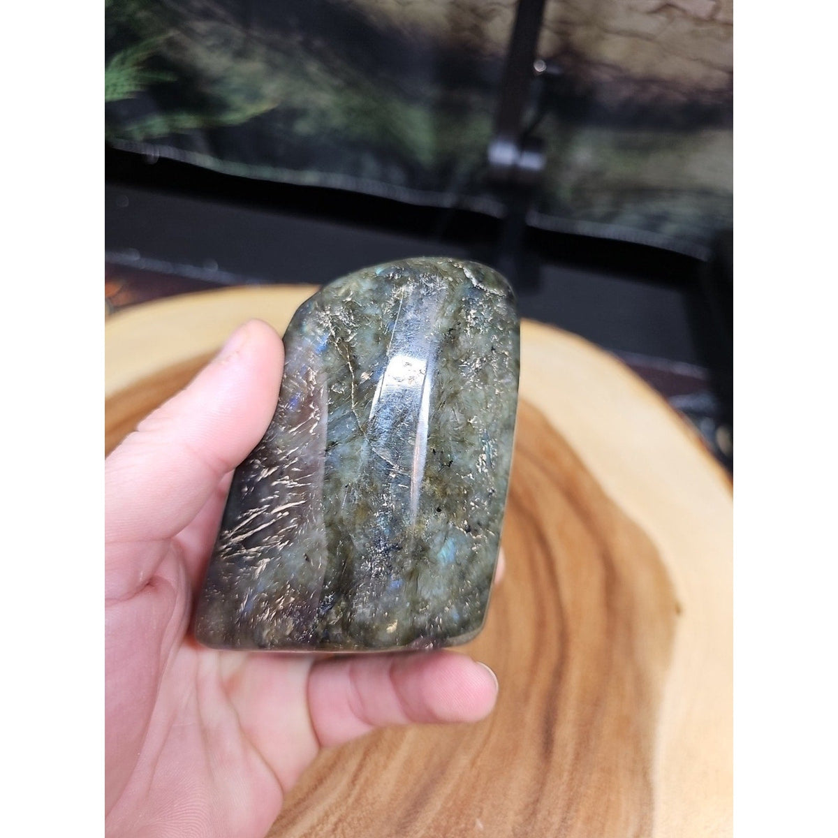 1LB 1Pcs Natural Rainbow Labradorite Crystal Spectrolite Stone