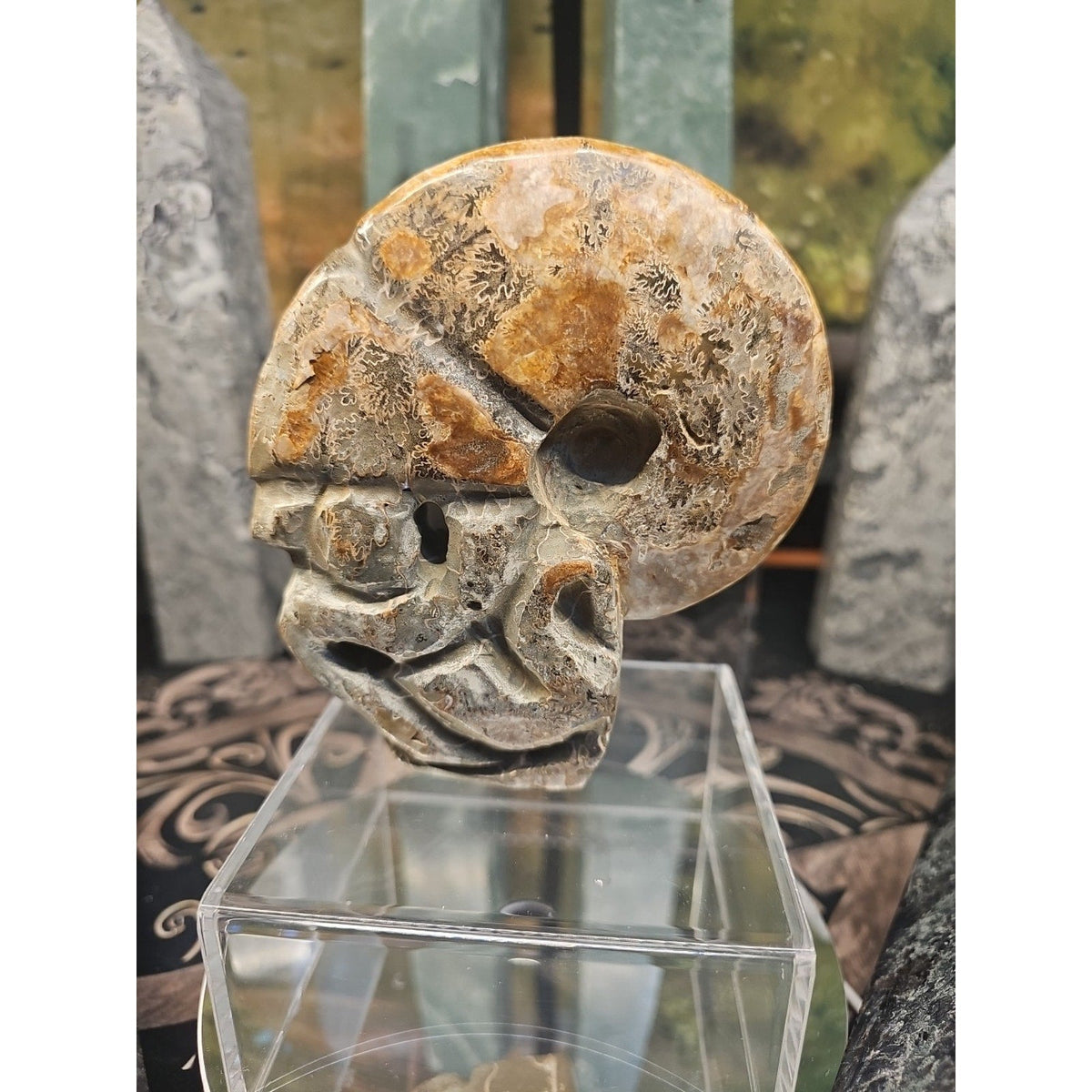 Natural Madagascar Ammonite Fossil – 1.12 lb