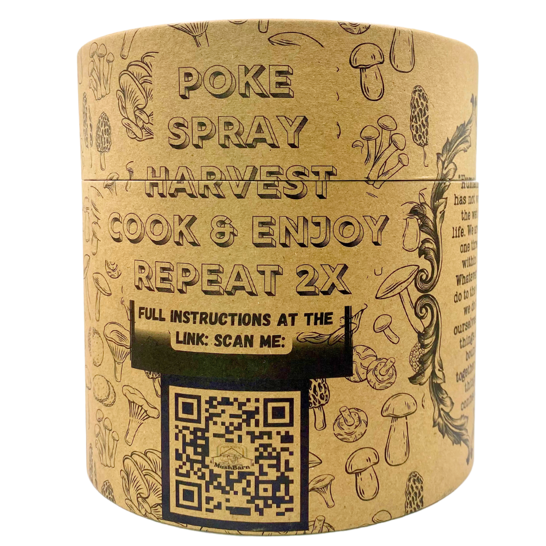Mushroom Grow kit - Pearl Oyster