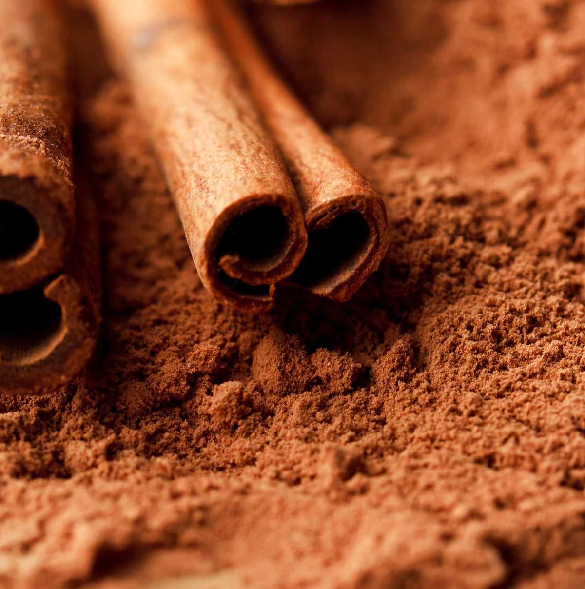 Cinnamon Powder 12 oz