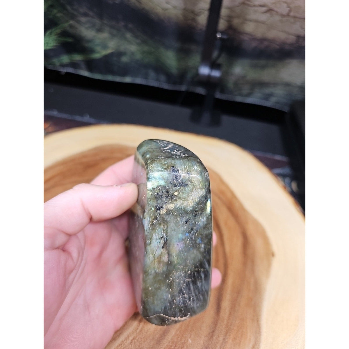 1LB 1Pcs Natural Rainbow Labradorite Crystal Spectrolite Stone