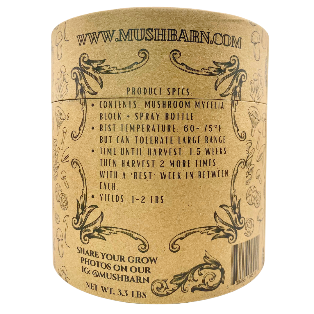 Mushroom Grow kit - Lion's Mane