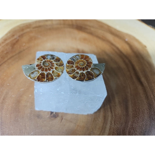 Ammonite Fossil W/Selenite Base 260g