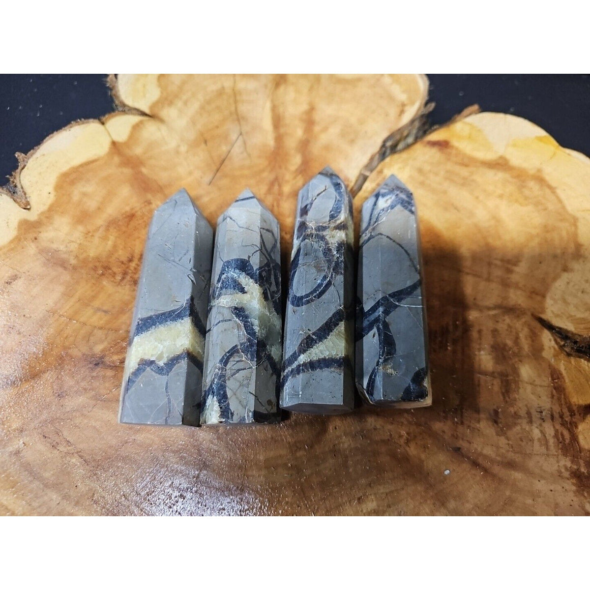 Dragon Septarian Geode Cluster Set — 1 lb, 4 Pieces from Madagascar