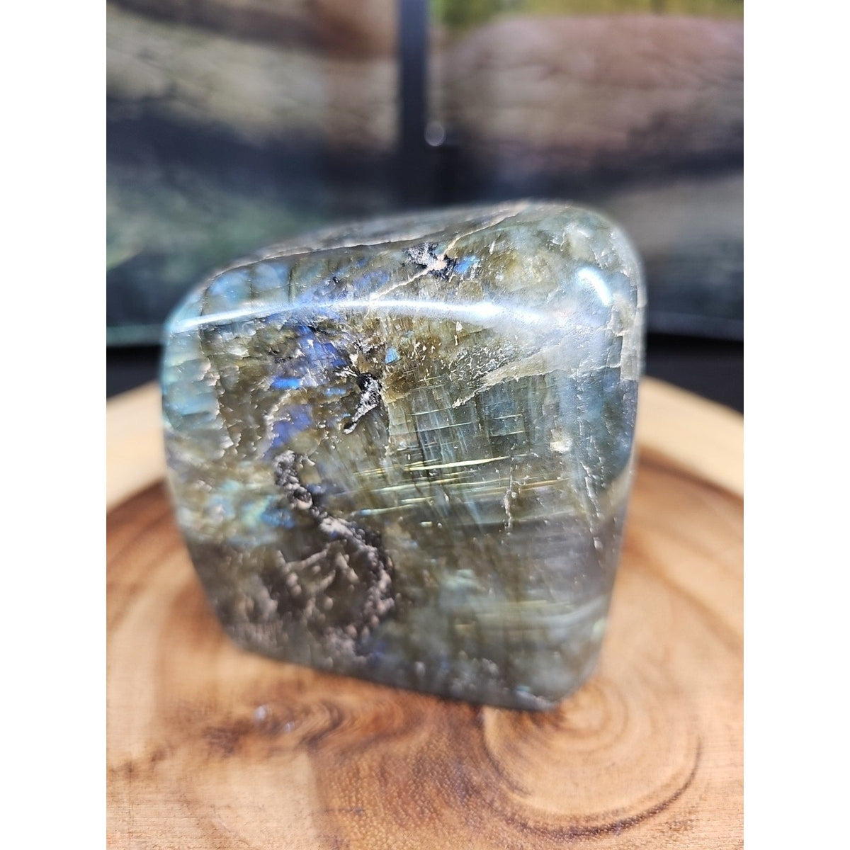 Rainbow Labradorite Spectrolite Specimen – 1.60 lb