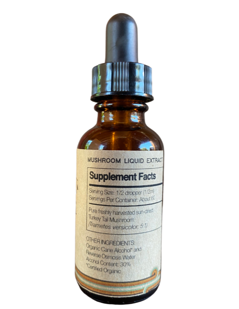Turkey Tail Mushroom Tincture