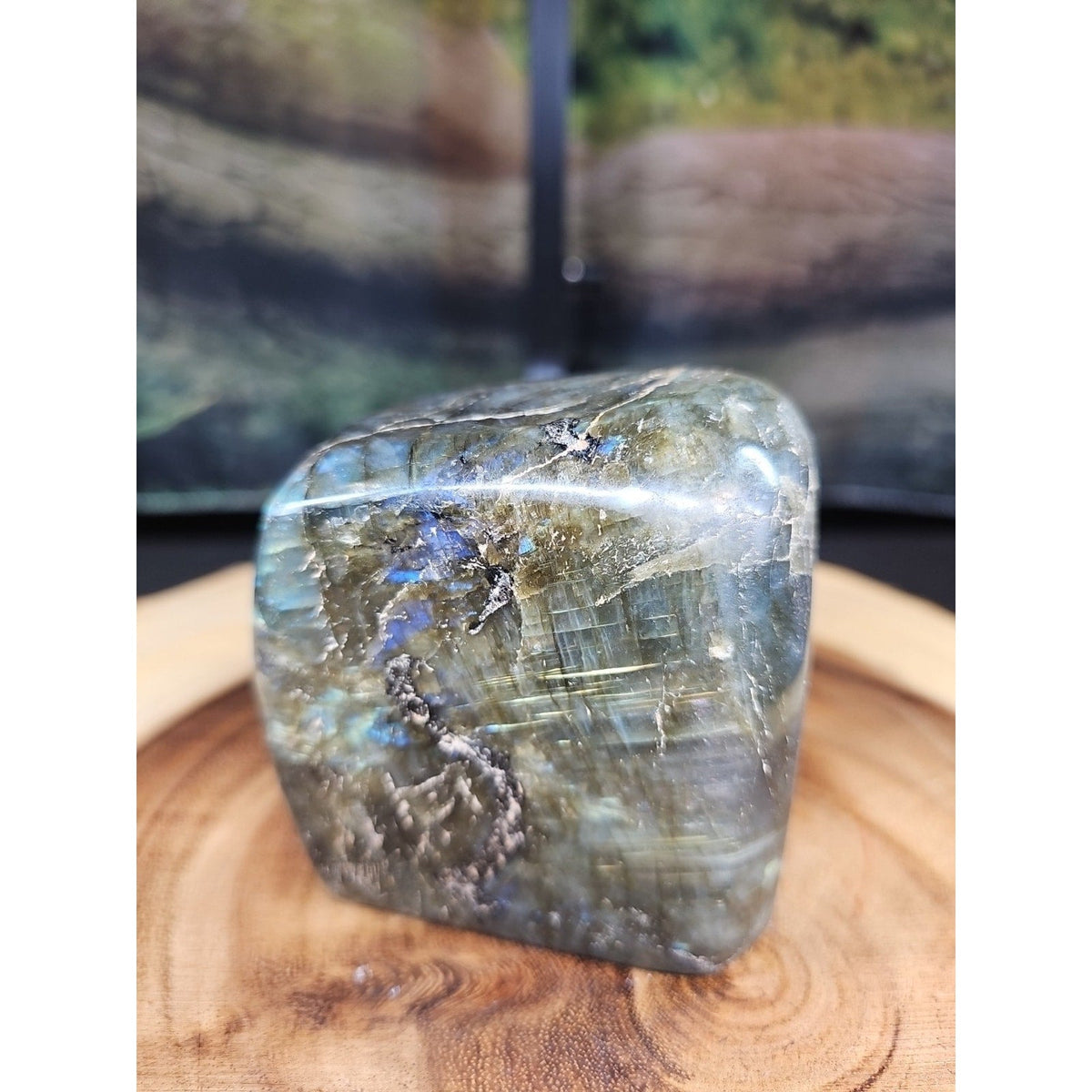 Rainbow Labradorite Spectrolite Specimen – 1.60 lb