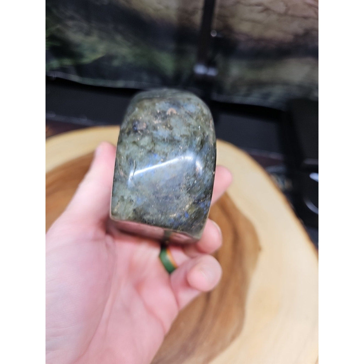 Rainbow Labradorite Spectrolite — 1.45lb, Color Flash Stone, Madagascar