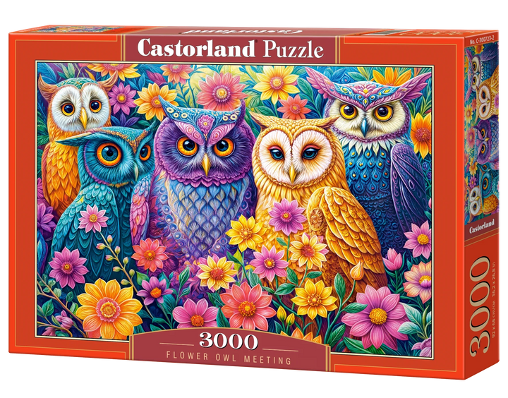 3000 Piece Jigsaw Puzzle, Flower Owl Meeting, Vibrant Colorful Owl Garden, Whimsical Folk Art Bird Scene, Adult Puzzle, Castorland C-300723-2