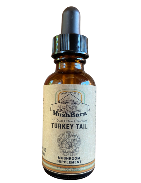Turkey Tail Mushroom Tincture