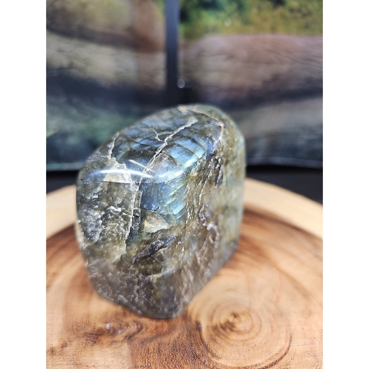 Rainbow Labradorite Spectrolite Specimen – 1.60 lb