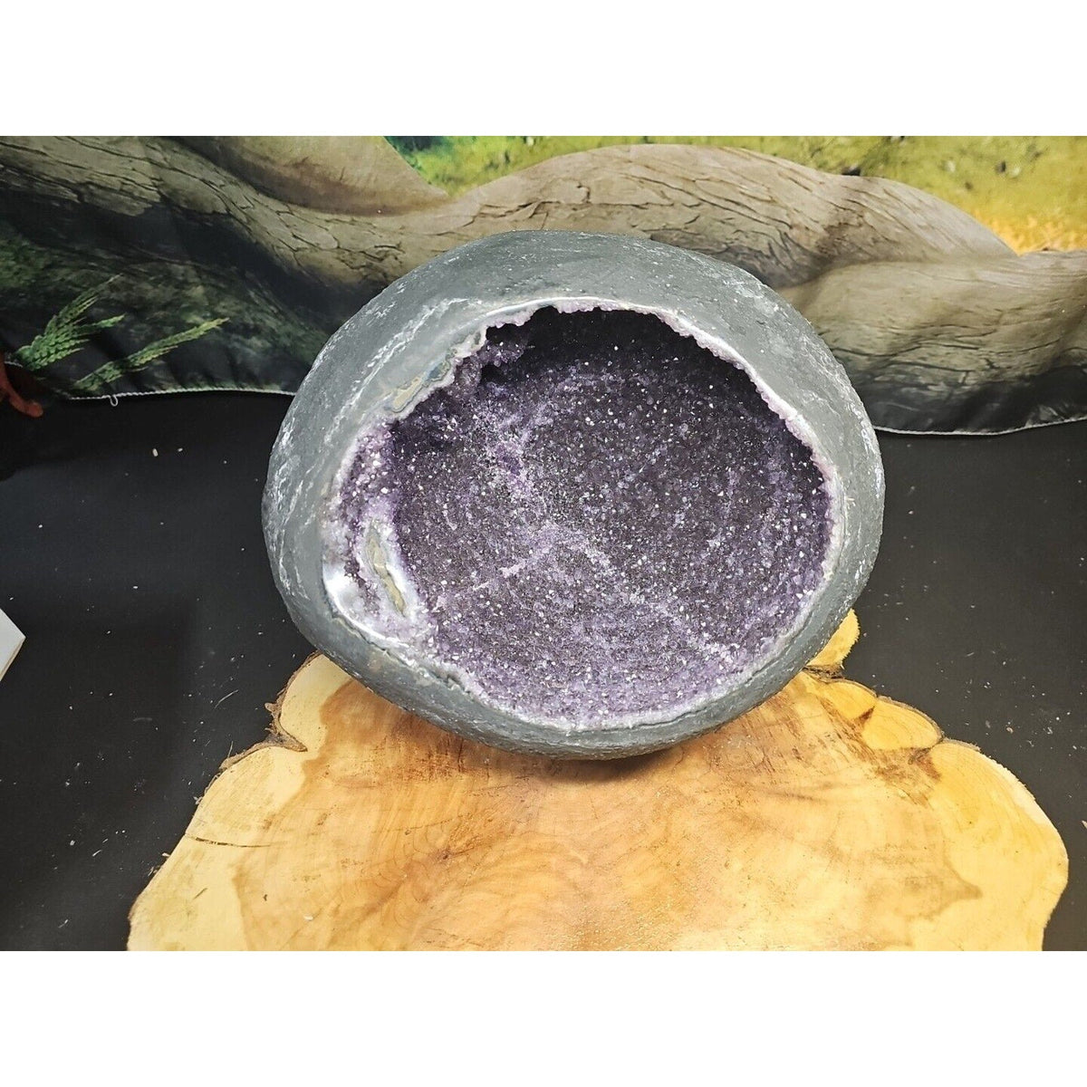 Raw Amethyst Money Bag Geode — 16.8 lbs, Abundance & Reiki Energy Crystal