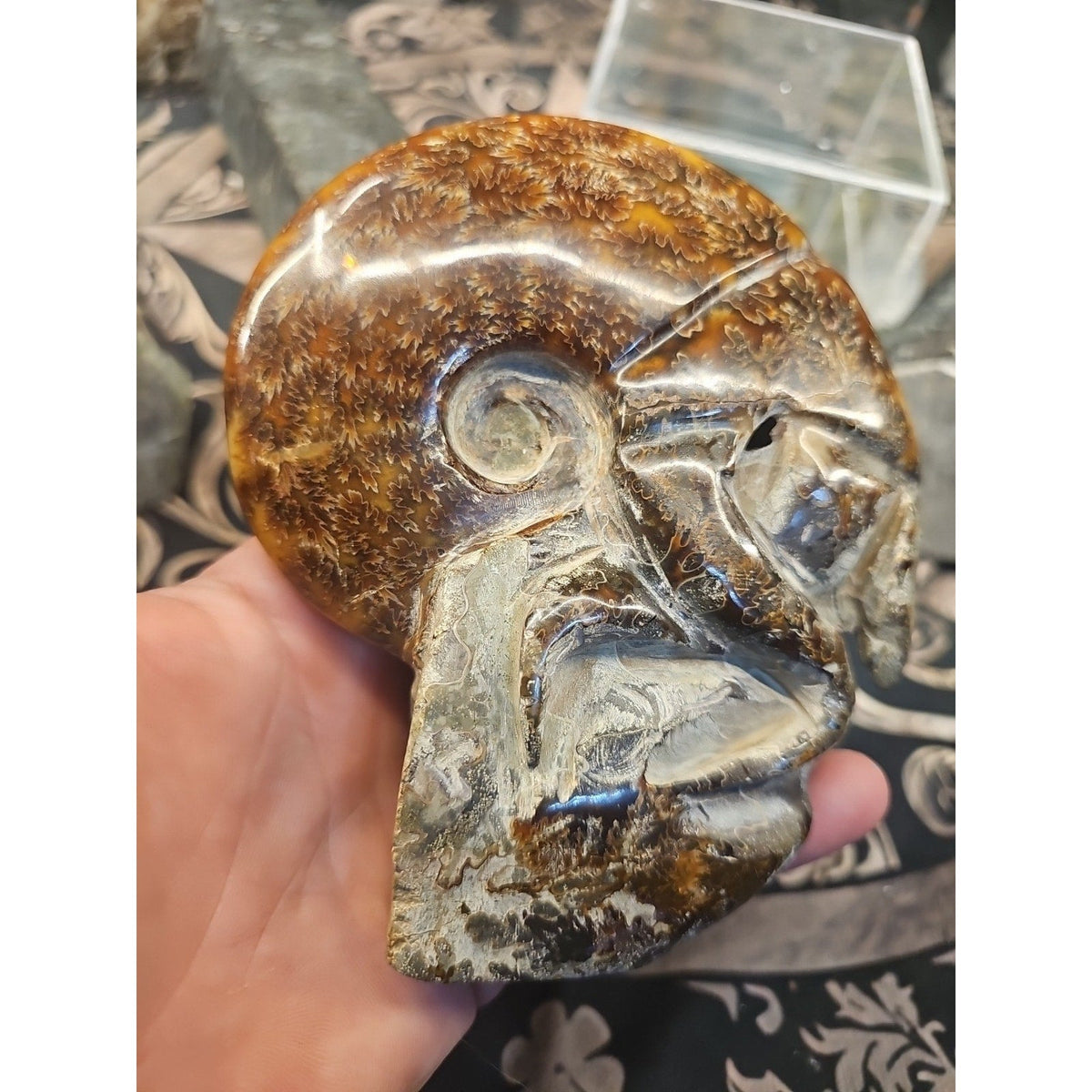 Natural Tentacle Ammonite Fossil – 1.26 lb Madagascar