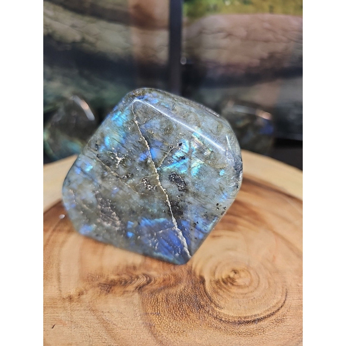 Rainbow Labradorite Spectrolite — 1.29lb, Color Flash Stone, Madagascar