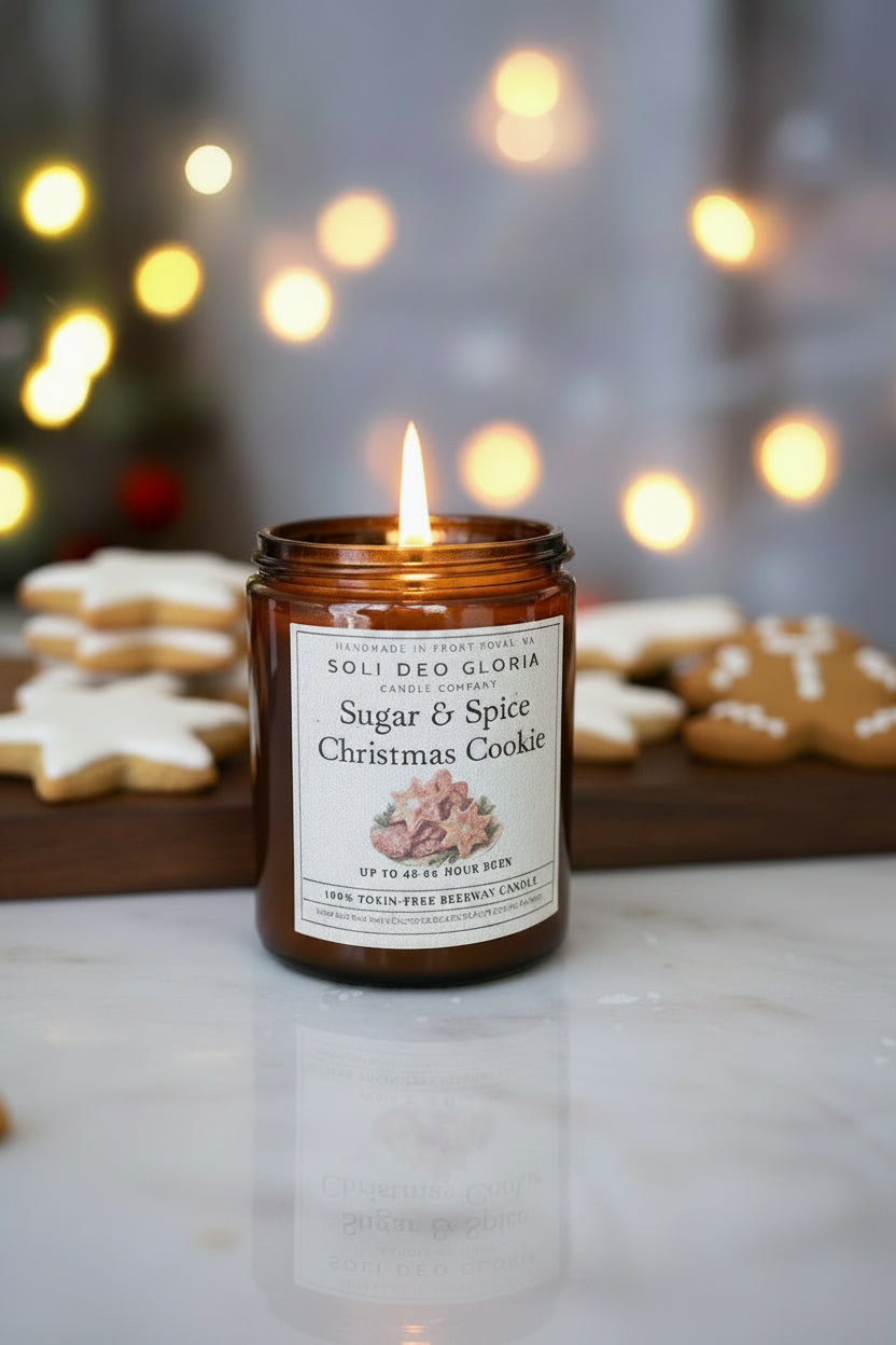 Winter Essentials Beeswax Gift/Starter Set | 3 Seasonal Candles, Wick Trimmer & Lighter