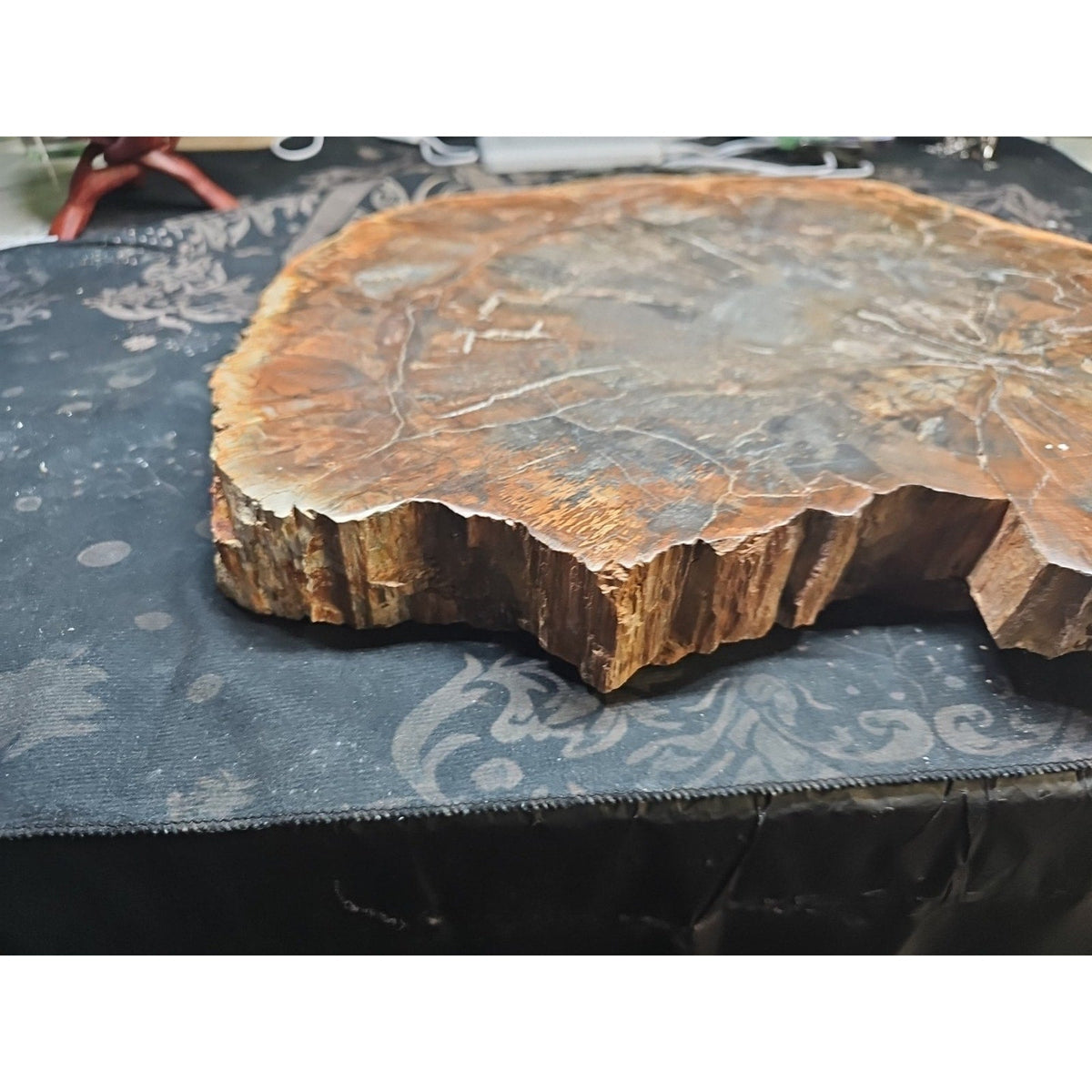 27.3 lb Fossil Wood Sculpture — Mineral Statement Piece