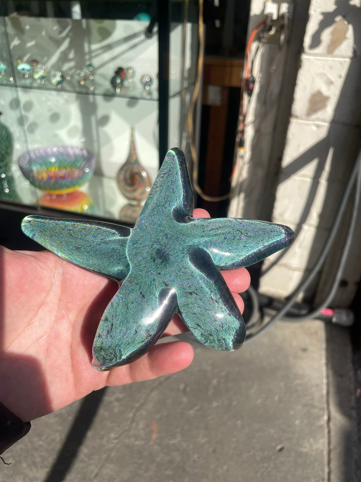 Coronado Sparkle Starfish
