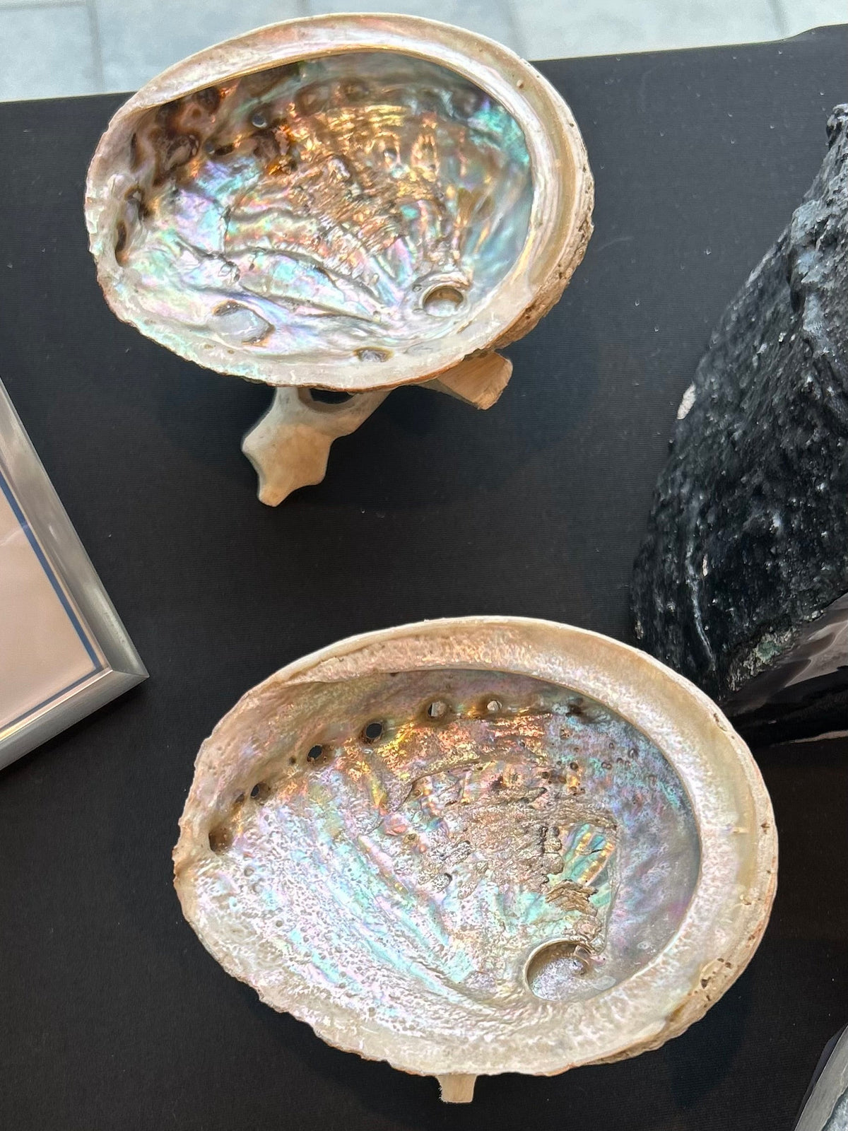 Abalone Shell/Smudging Feather