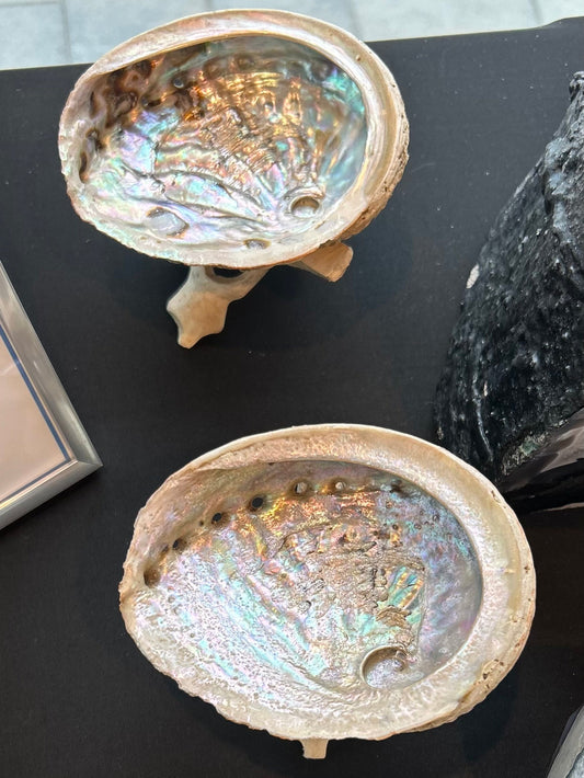 Abalone Shell/Smudging Feather